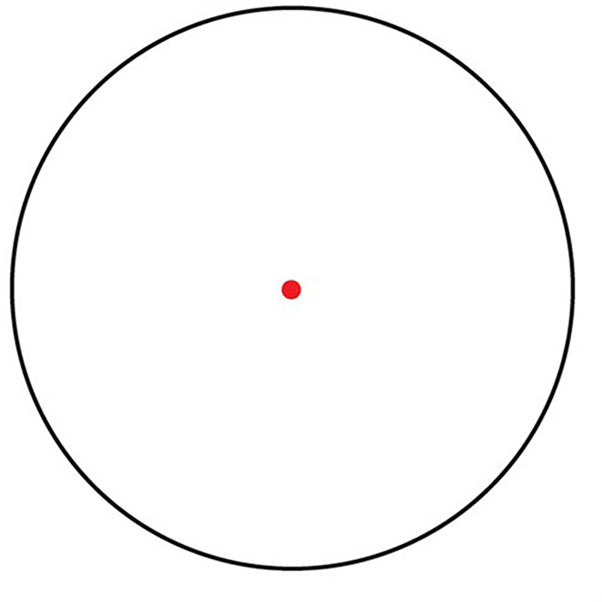430113364_5W.jpg