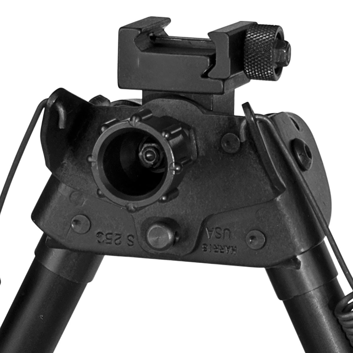 430104199_10W.jpg