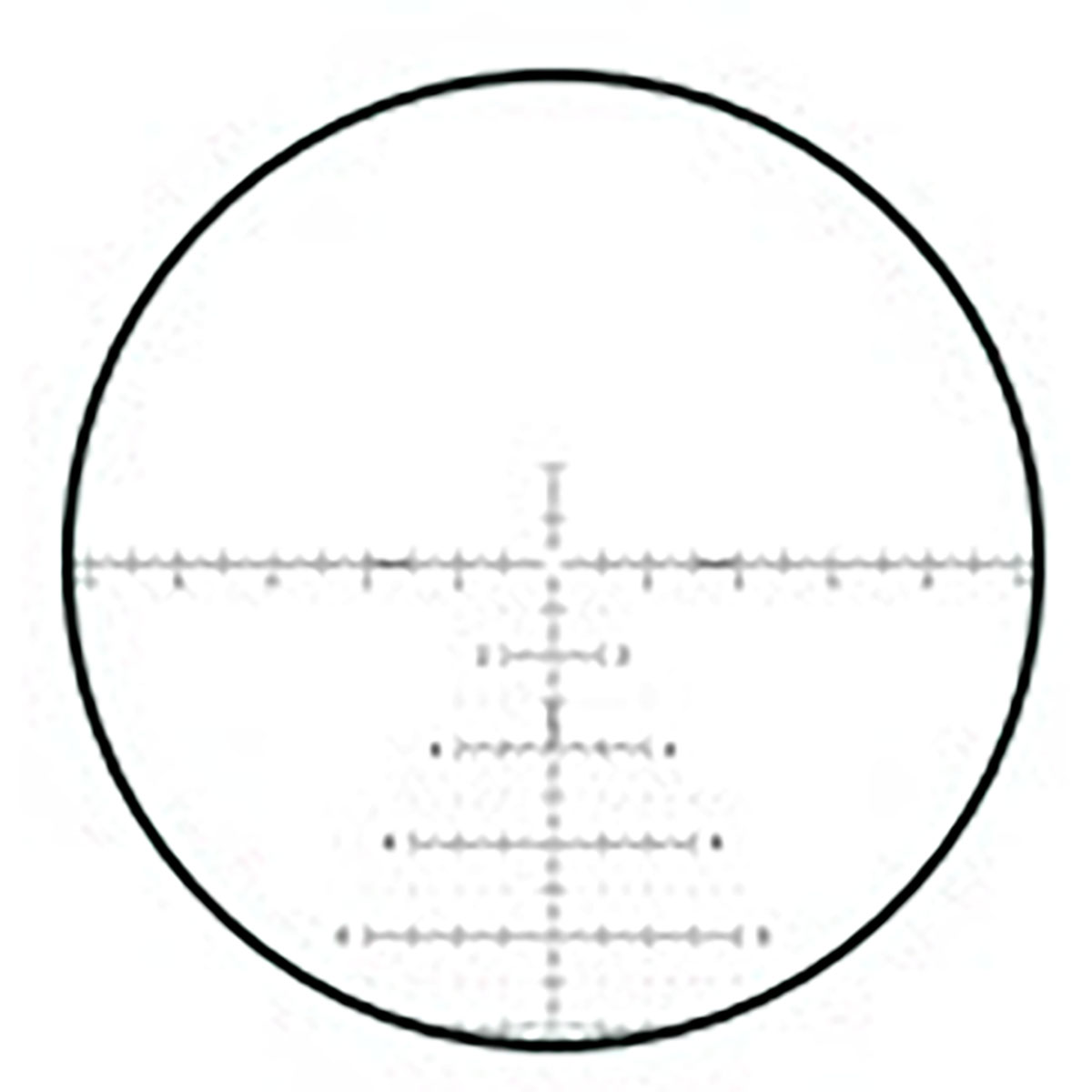 430118108_40.jpg