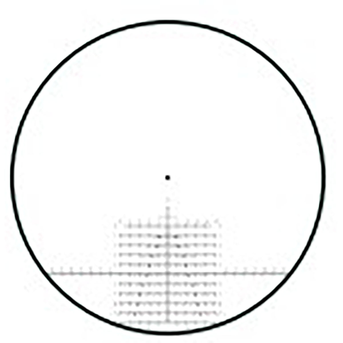 430118109_40.jpg
