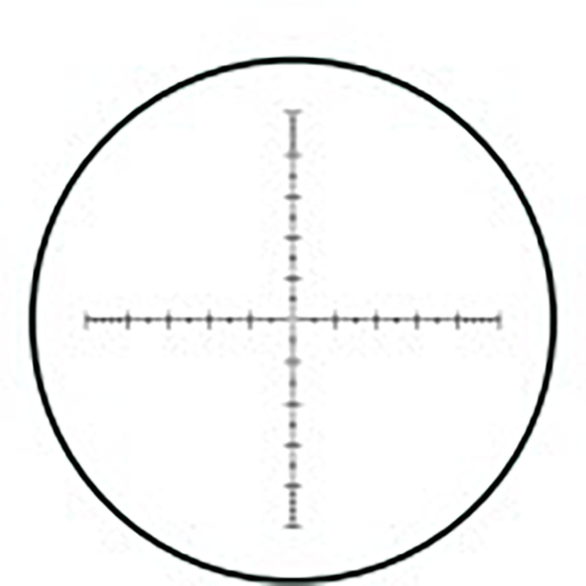 430118106_40.jpg
