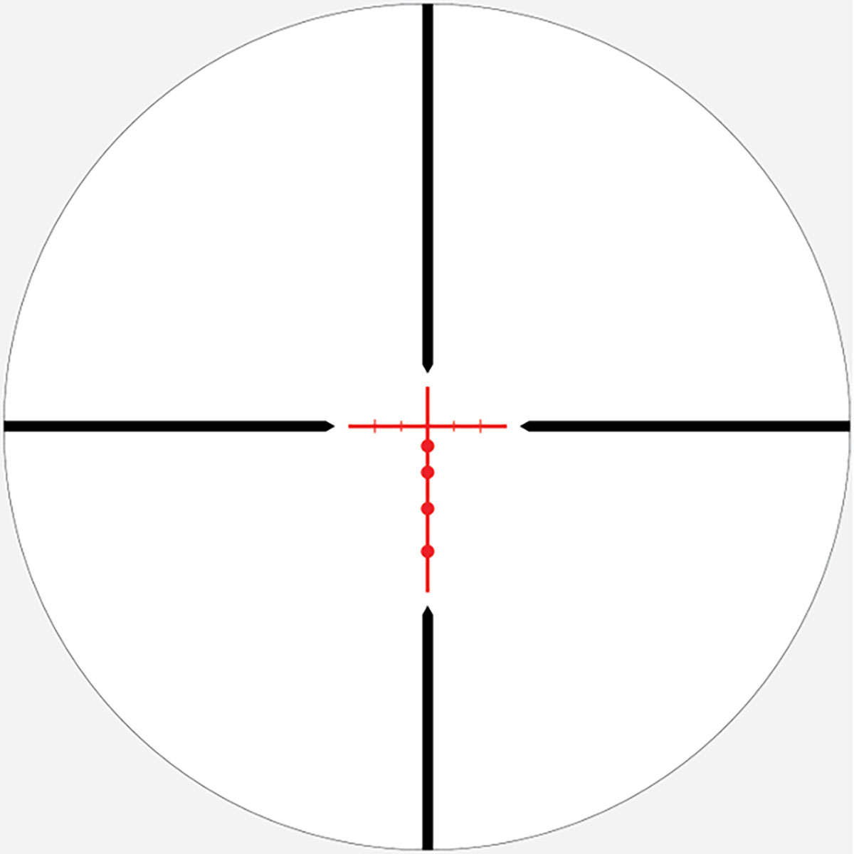 430119165_15.jpg