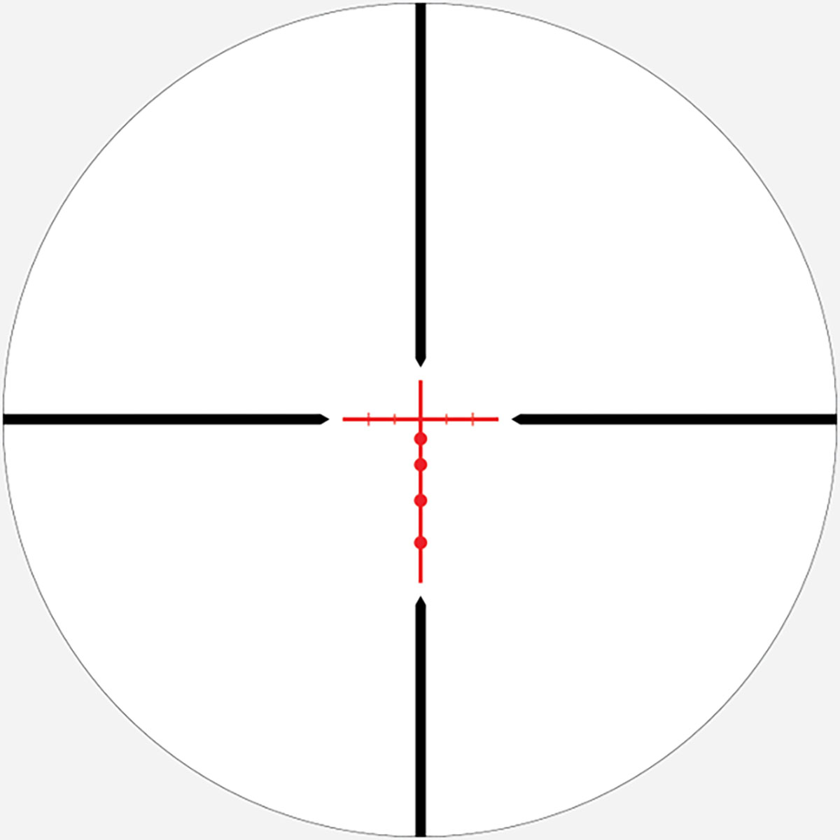 430119170_15.jpg