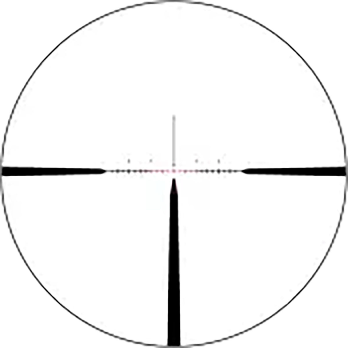 430119049_50.jpg