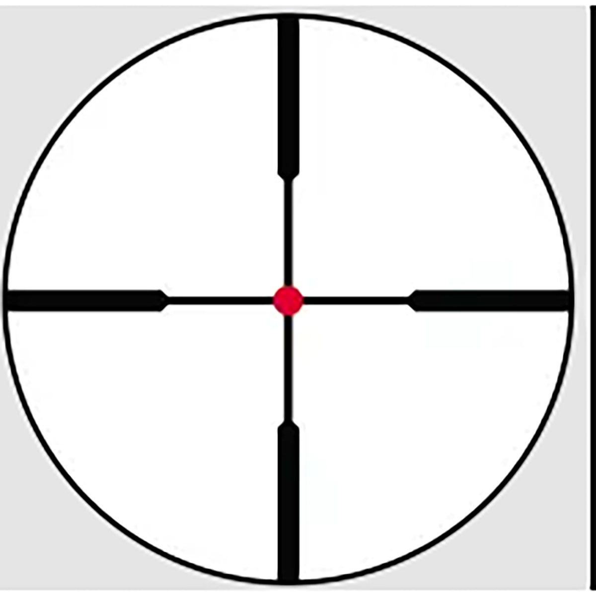 430119056_45.jpg