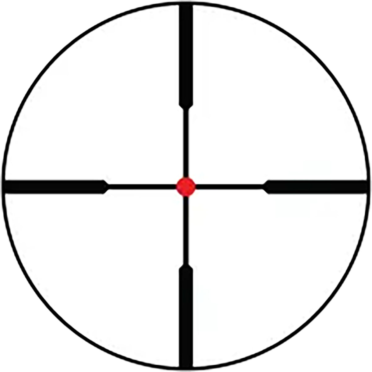 430119051_50.jpg